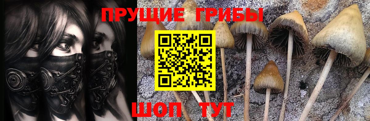 Галлюциногенные грибы Magic Shrooms  Вход с VPN  Мичуринск 