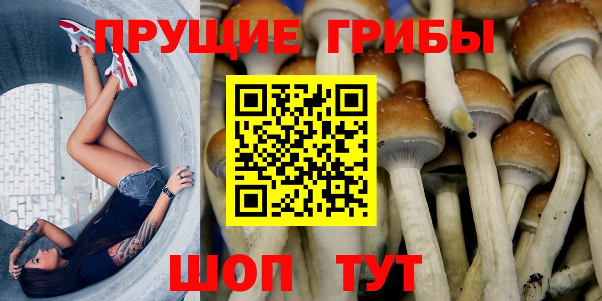 Псилоцибиновые грибы мицелий Мичуринск